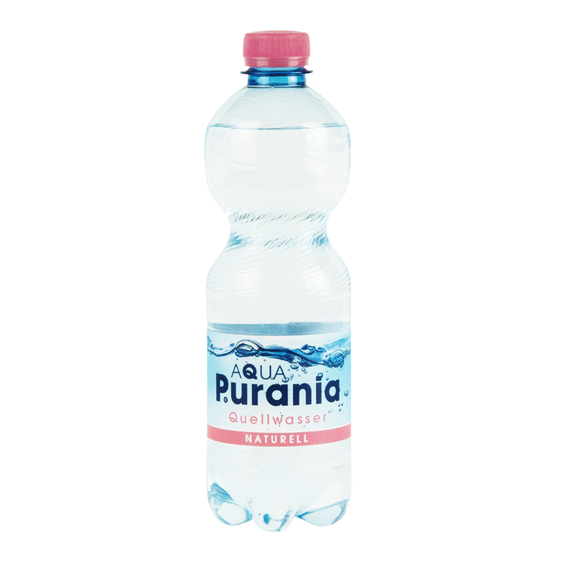 PURANIA Quellw. Naturell 0,5l DPG PETFL